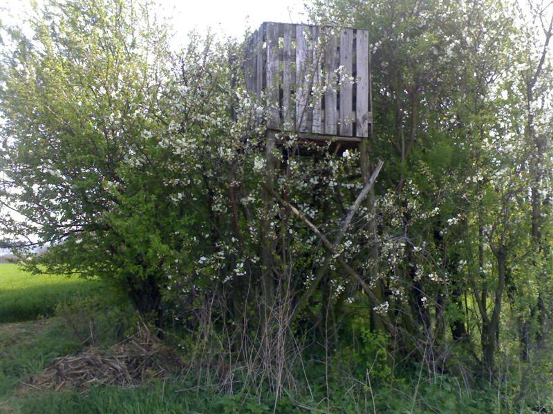 200704091697 .jpg